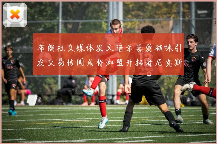 布朗社交媒体发文暗示喜爱猫咪引发交易传闻或将加盟开拓者尼克斯雷霆湖人